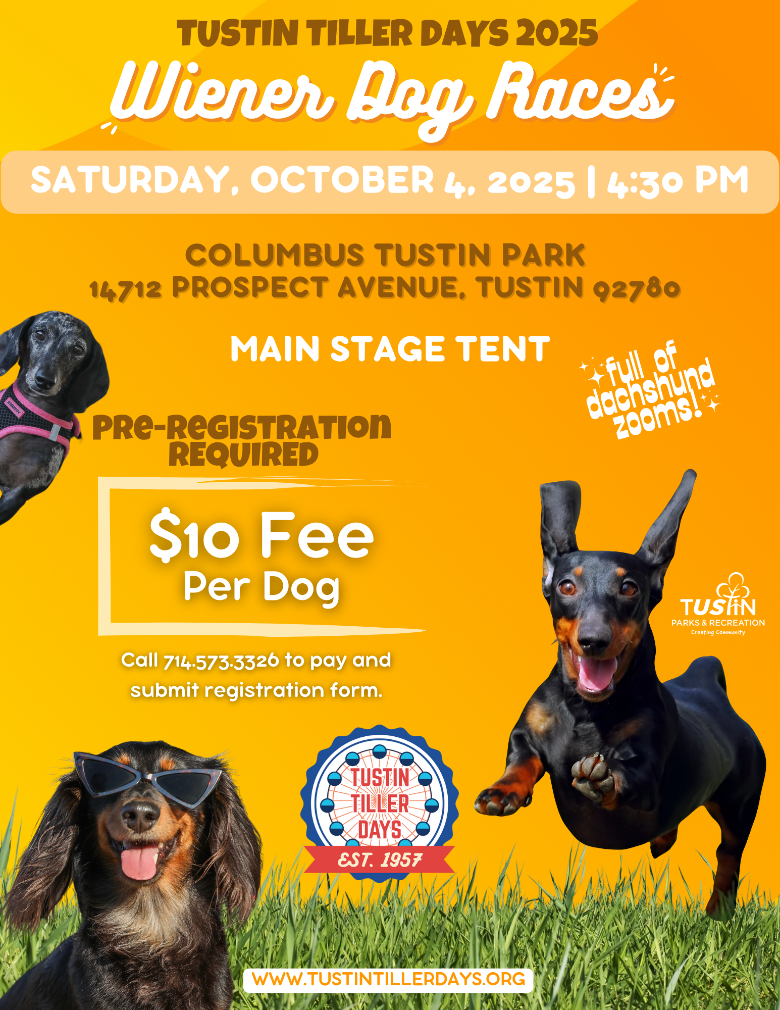 Wiener Dog Race 2025